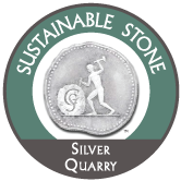 silver icon